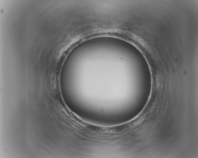 X0000060781165200511241812