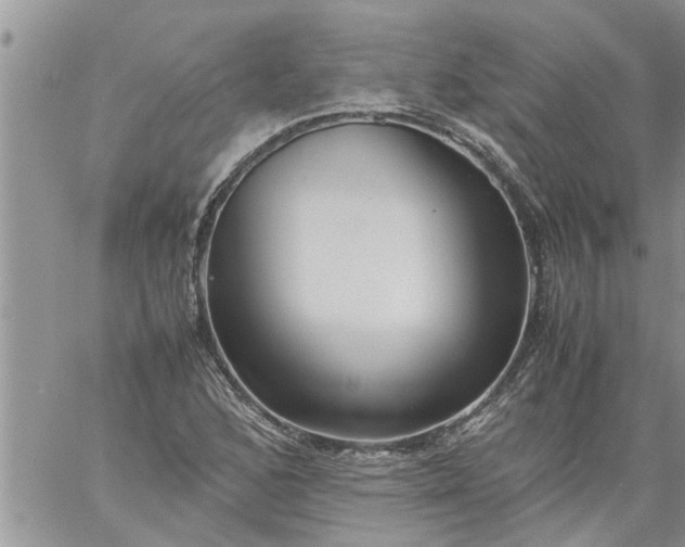 X0000060781168200511241812