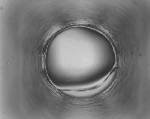 X0000060781171200511241812