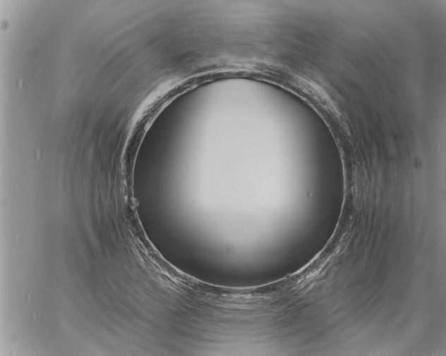 X0000060781172200511241812