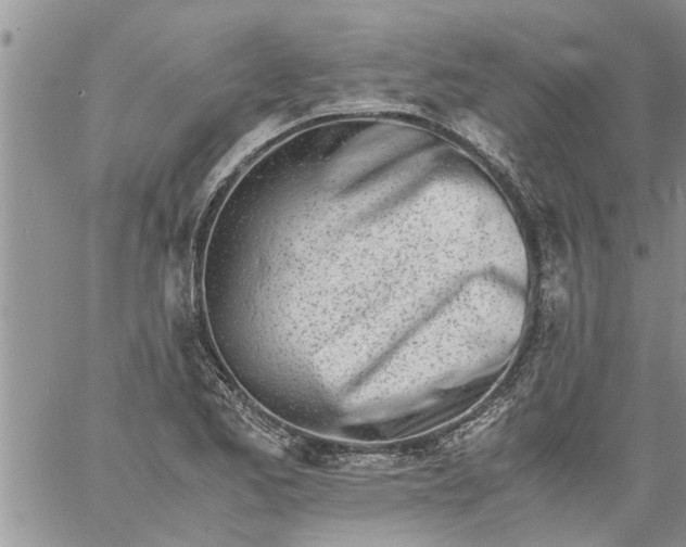 X0000060781173200511241812