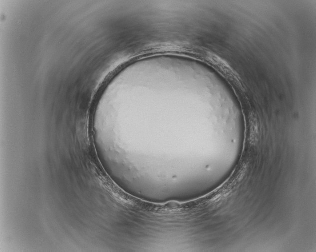 X0000060781174200511241812