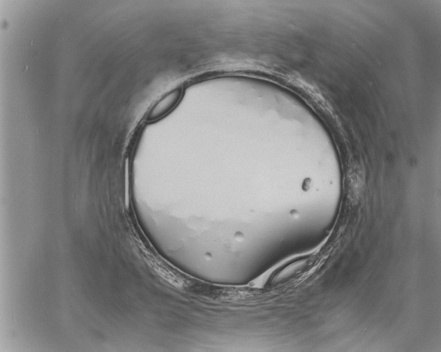 X0000060781175200511241812