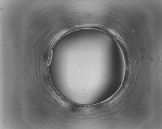 X0000060781177200511241812