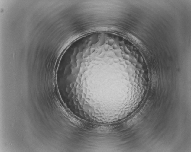 X0000060781178200511241812