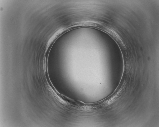 X0000060781180200511241812