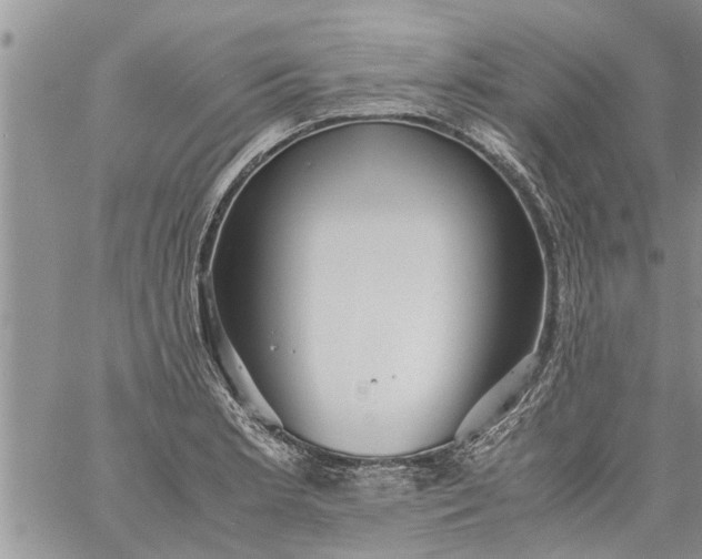 X0000060781181200511241812