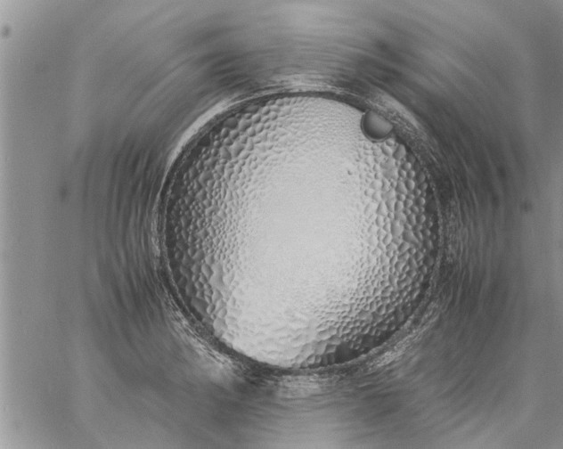 X0000060781182200511241812