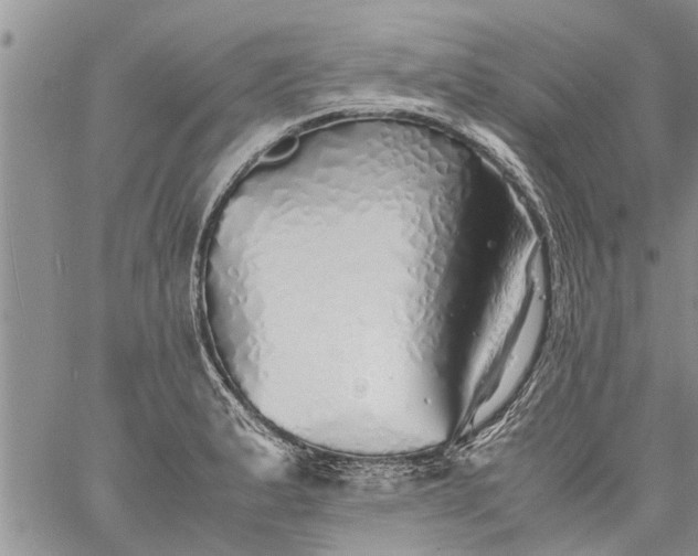 X0000060781183200511241812