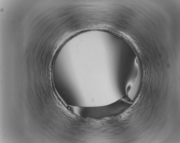 X0000060781184200511241812