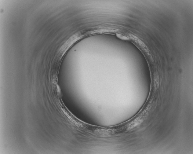 X0000060781185200511241812