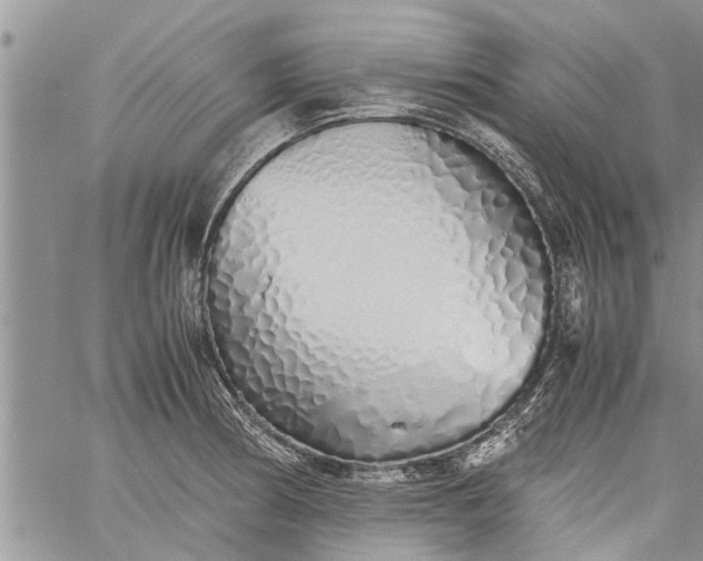 X0000060781186200511241812