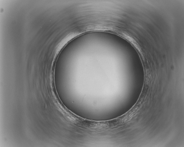 X0000060781187200511241812