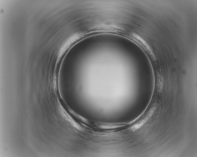 X0000060781188200511241812