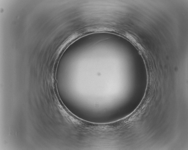 X0000060781189200511241812