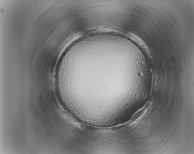 X0000060781190200511241812