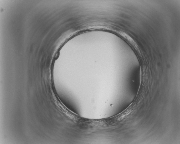 X0000060781191200511241812