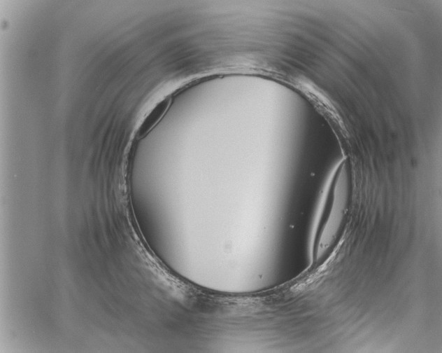 X0000060781192200511241811