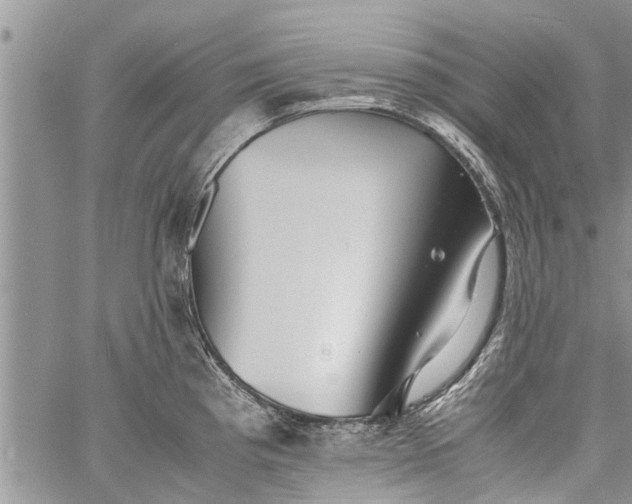 X0000060781193200511241811