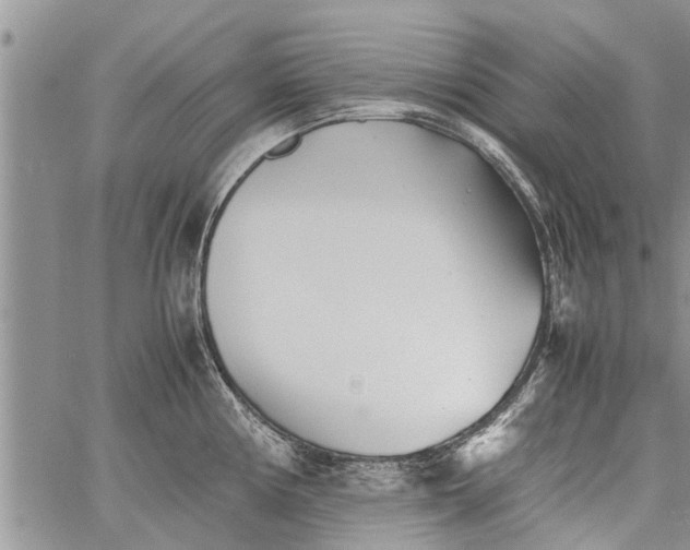 X0000060781194200511241811