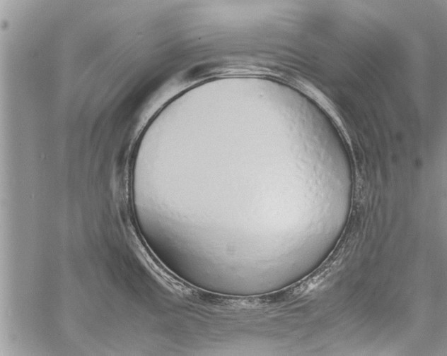 X0000060781195200511241811