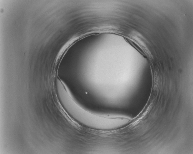 X0000060781196200511241811