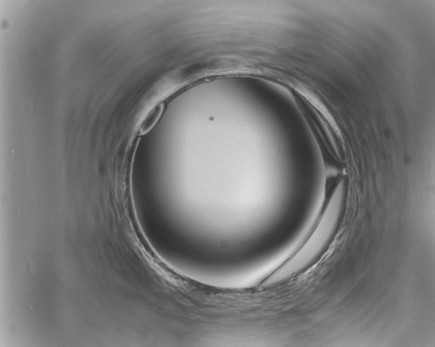 X0000060781197200511241811