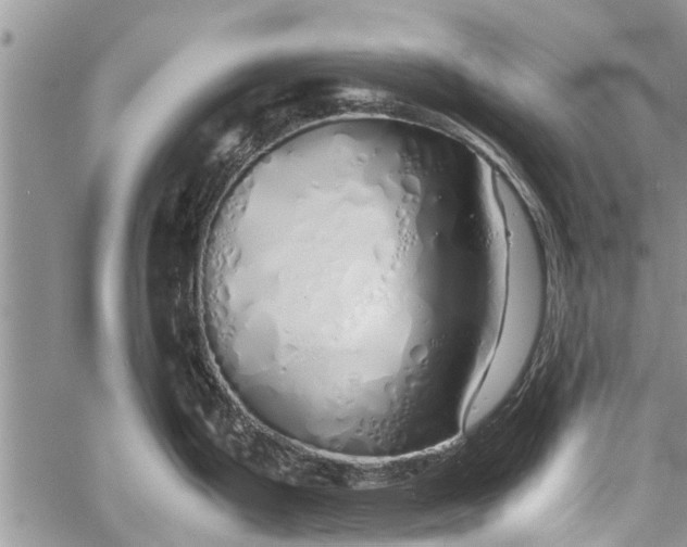 X0000060781199200511241811