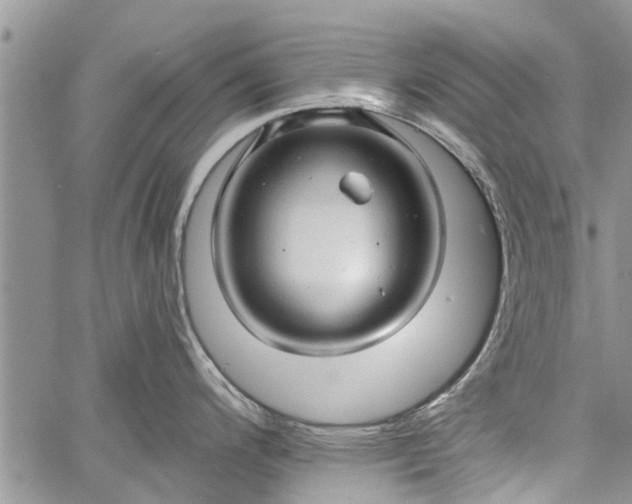 X0000060781200200511241811