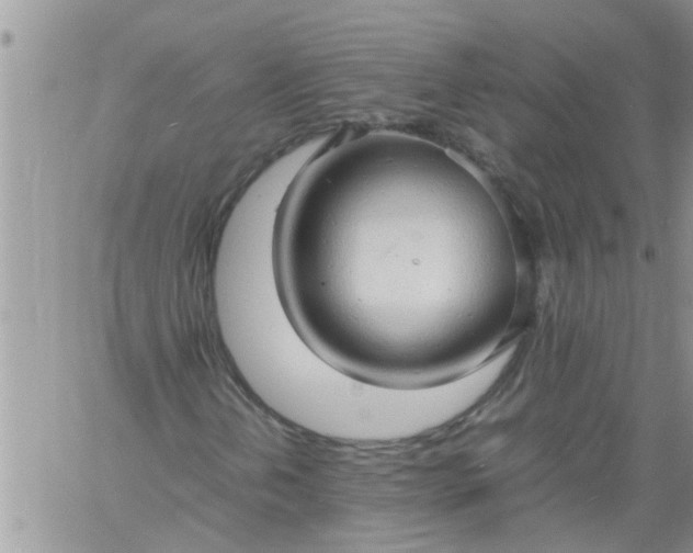 X0000060781202200511241811