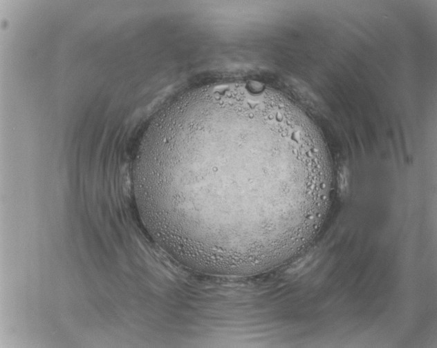 X0000060781204200511241811