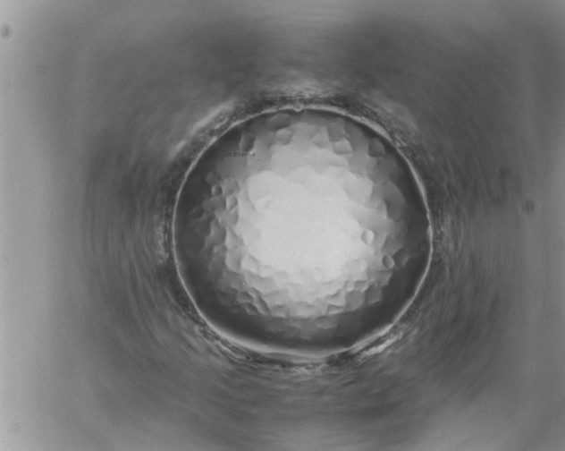 X0000060781205200511241811