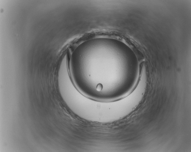 X0000060781206200511241811