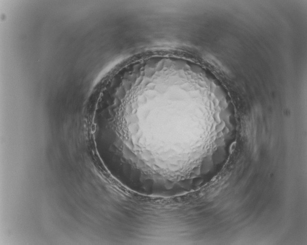 X0000060781208200511241811