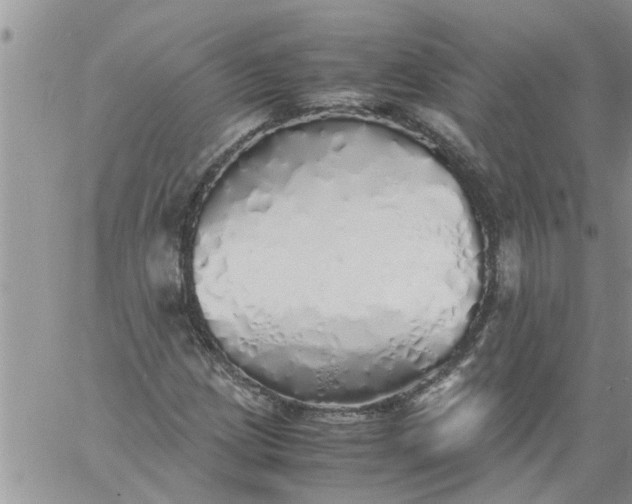 X0000060781209200511241811