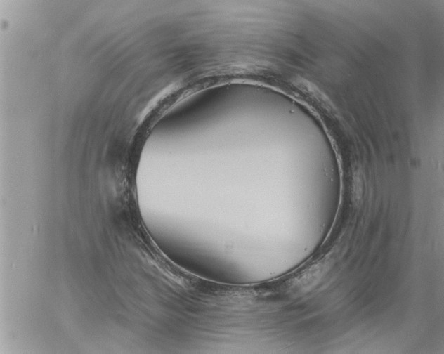 X0000060781210200511241811