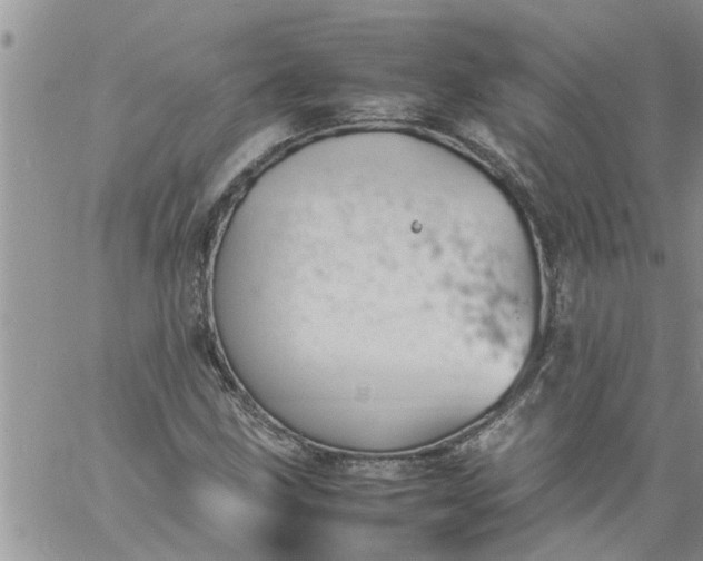 X0000060781211200511241811