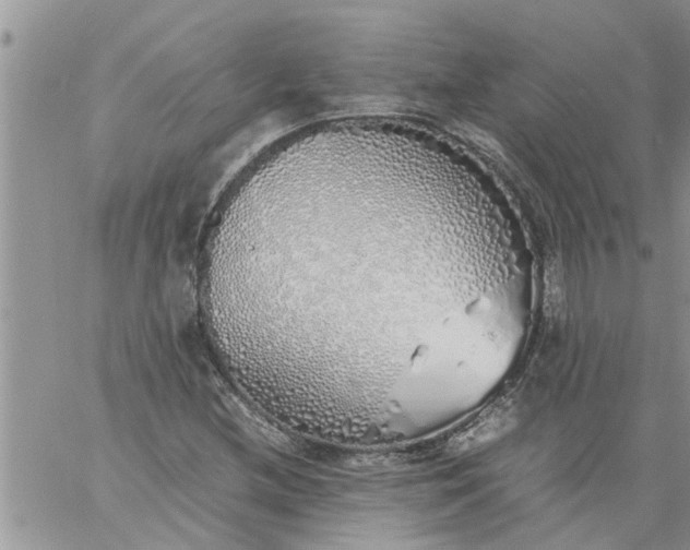 X0000060781212200511241811