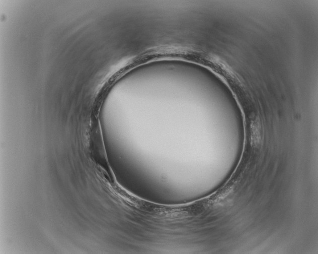 X0000060781213200511241811