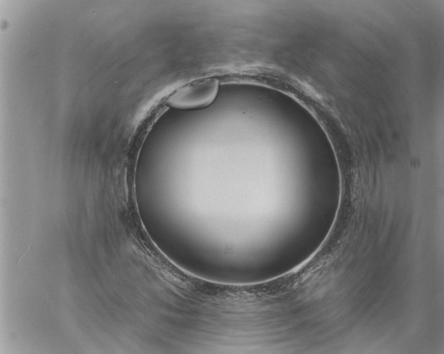 X0000060781214200511241811