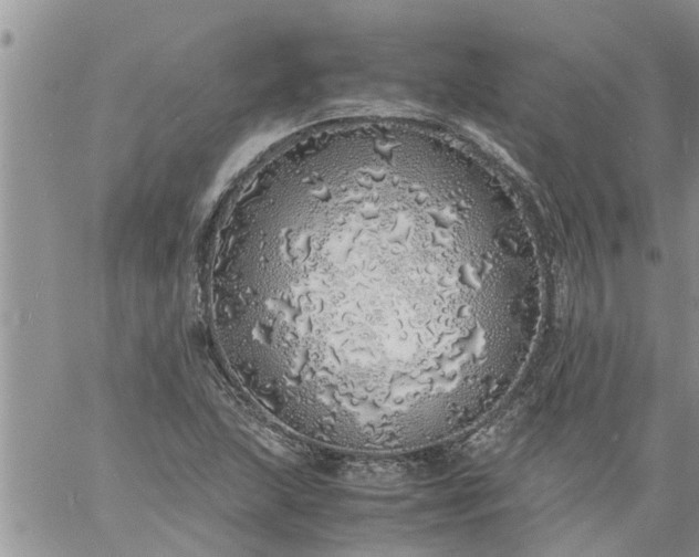 X0000060781215200511241811