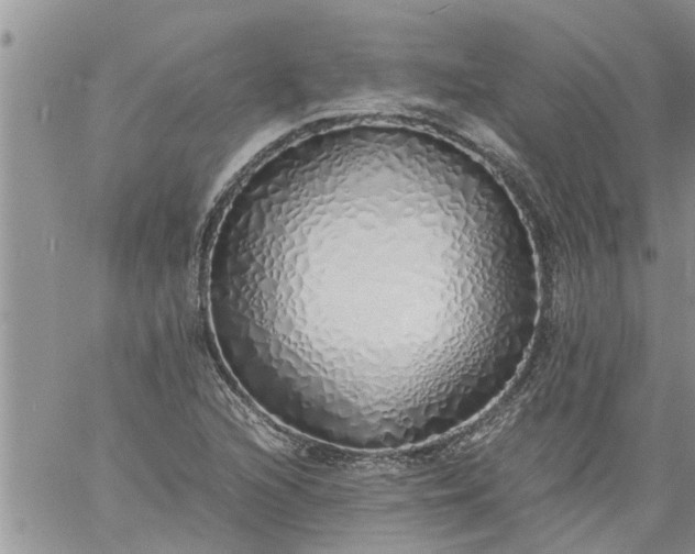 X0000060781216200511241811