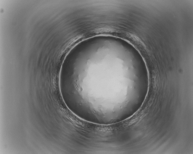 X0000060781217200511241811