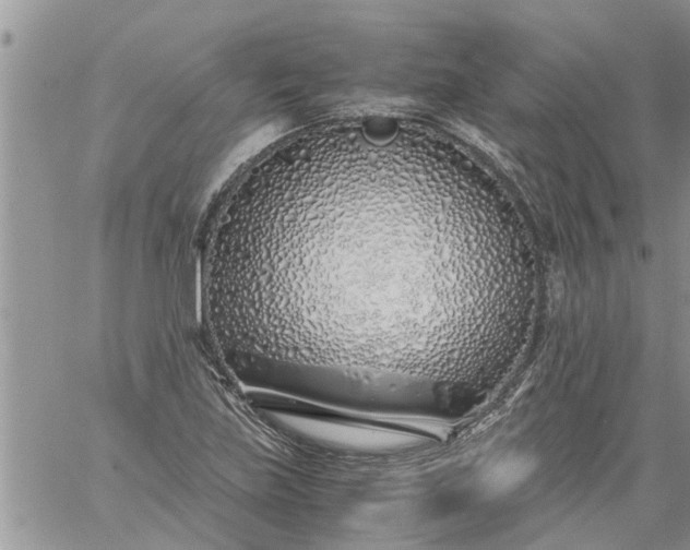 X0000060781219200511241811