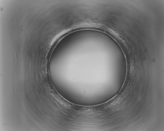 X0000060781222200511241811