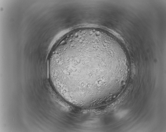 X0000060781223200511241811