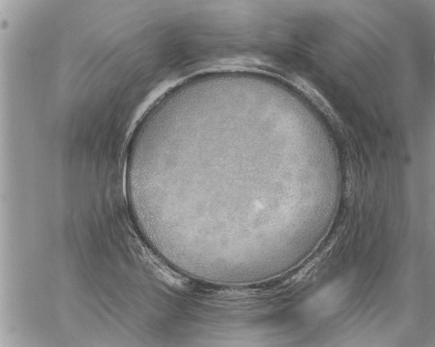 X0000060781224200511241811