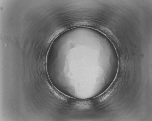 X0000060781225200511241811