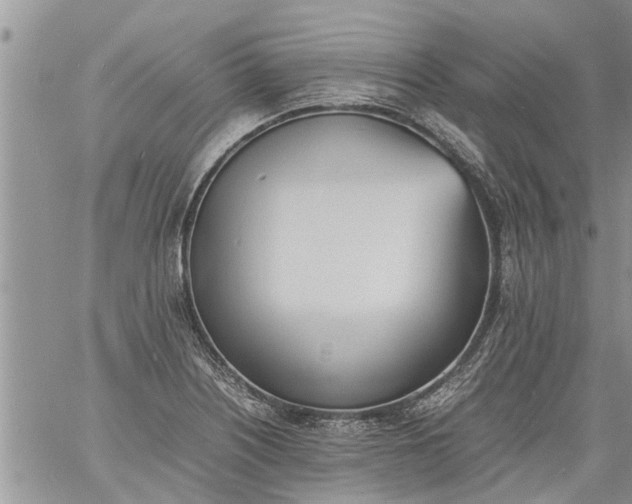 X0000060781226200511241811