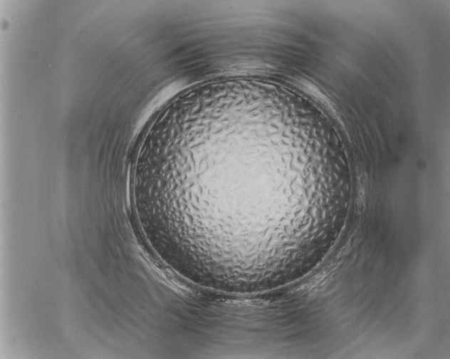 X0000060781227200511241811